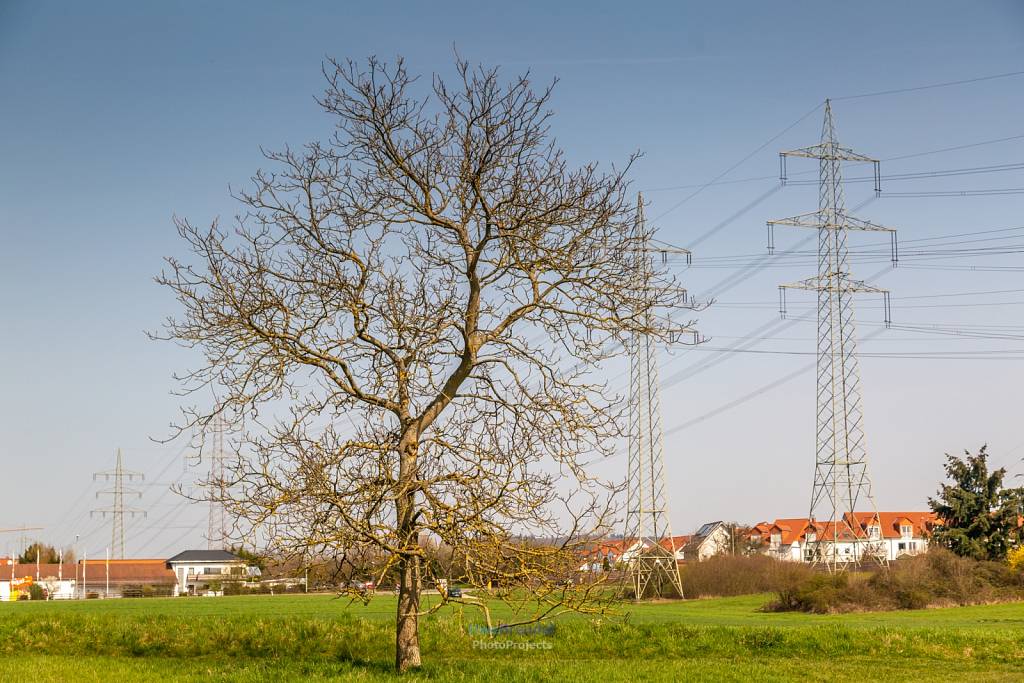 Eppstein