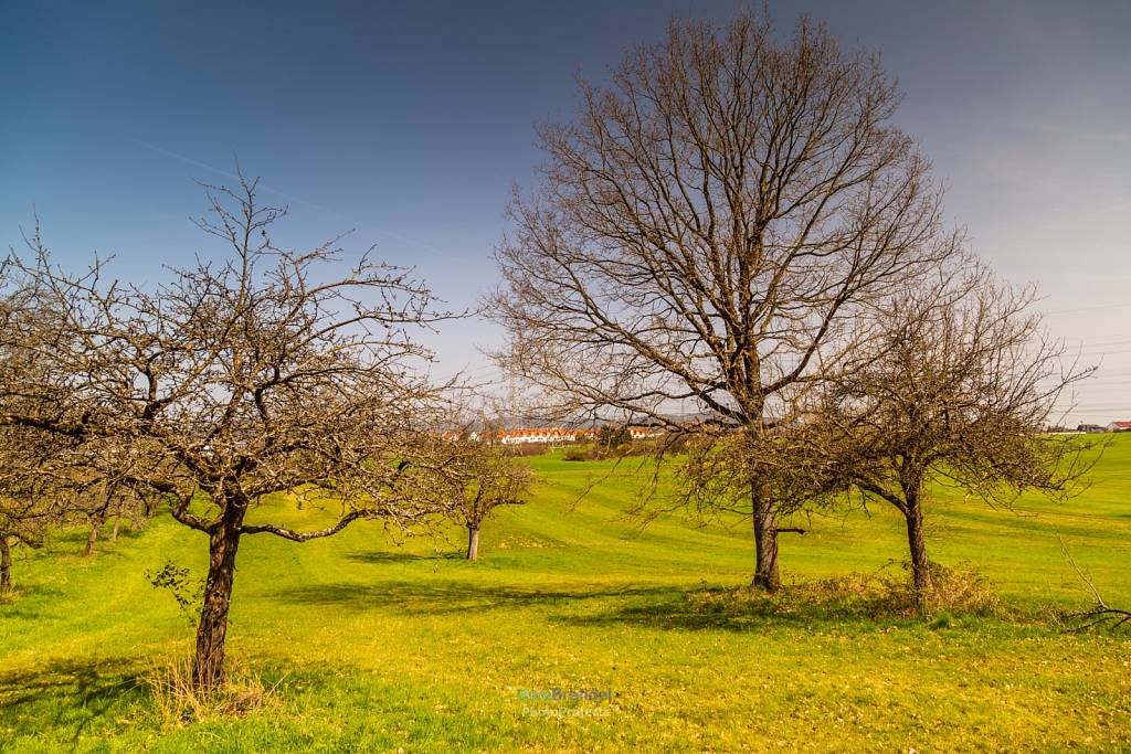 Eppstein