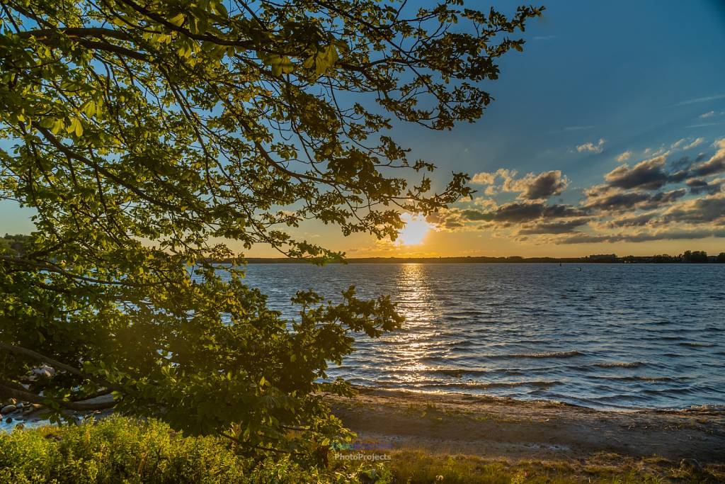 Müritz