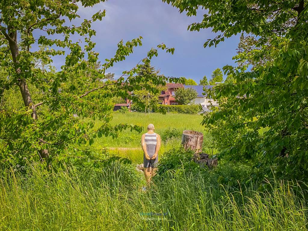 Skulpturenpark