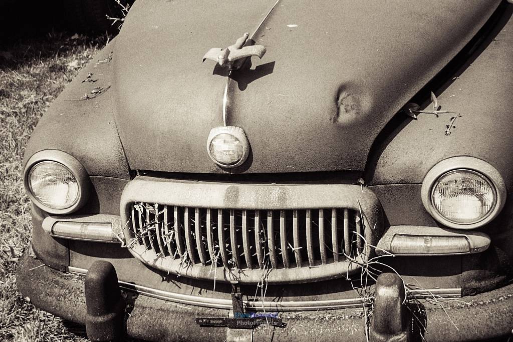 Car Cemetery