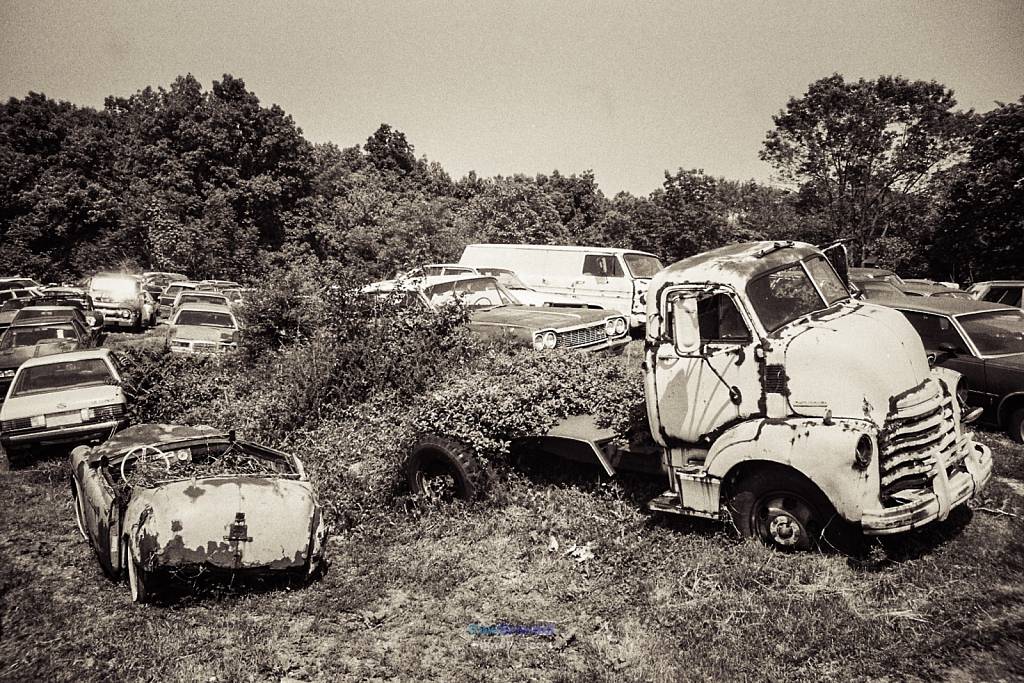 Car Cemetery