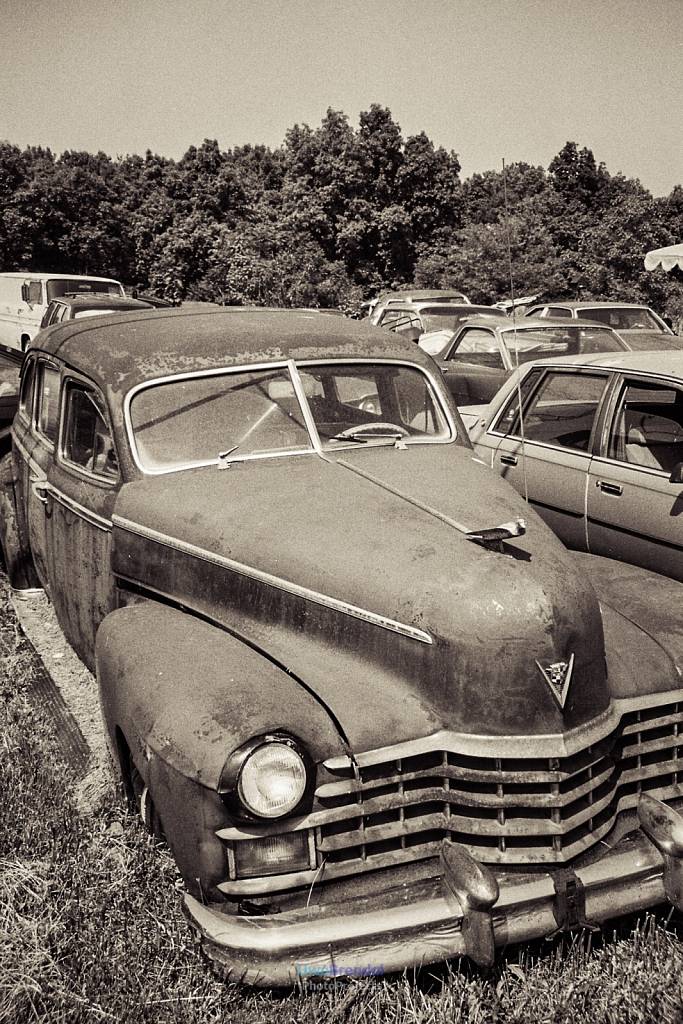 Car Cemetery